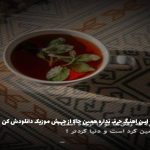 دانلود آهنگ خیلی برات متاسفم حال منو زدی بهم با اون سلیقت از هایده و امیر تتلو و رضا پیشرو “ریمیکس هوش مصنوعی”